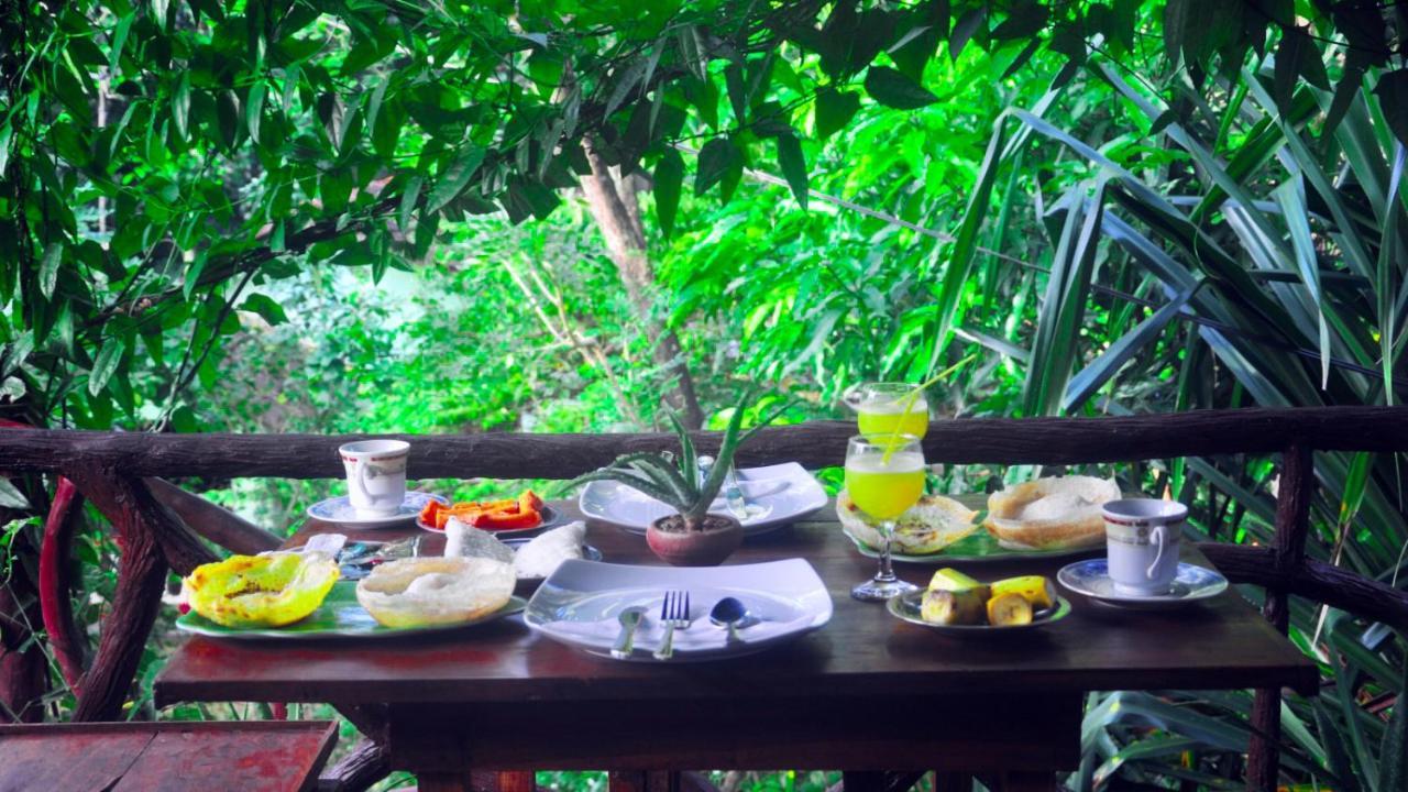 Aloe Vera Guest House Dambulla Extérieur photo