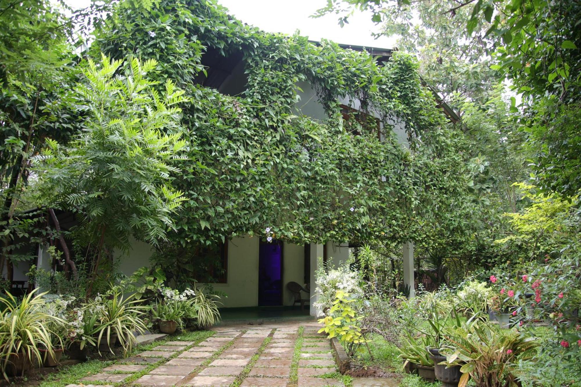 Aloe Vera Guest House Dambulla Extérieur photo